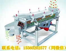 湖南王總需要的DZSF直線振動(dòng)篩今天發(fā)貨！