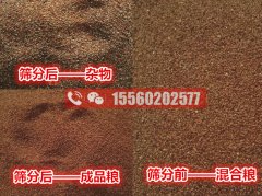 海藻籽里面的雜物應(yīng)該用啥機(jī)器清除？海藻籽比重風(fēng)選篩分機(jī)